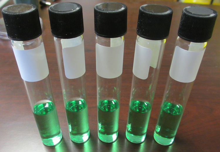 Filled and Labeled Test Tubes